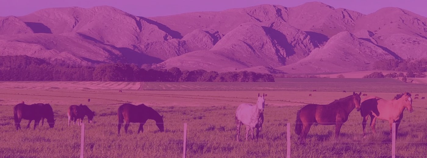 Sierra de la Ventana