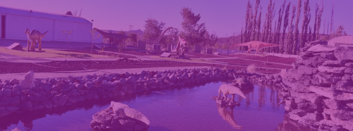 Terminal de Rincón de los Sauces