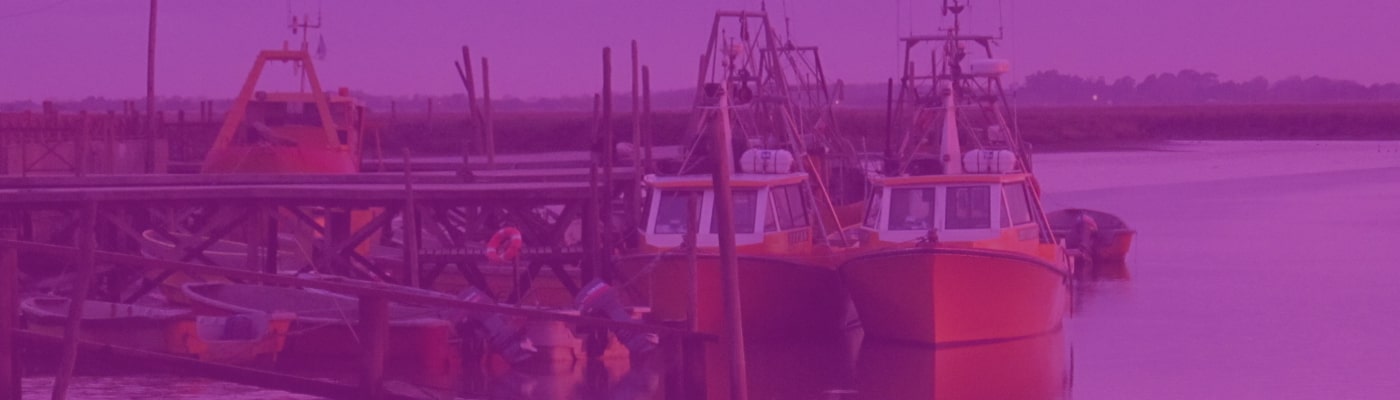 Terminal de San Clemente del Tuyú